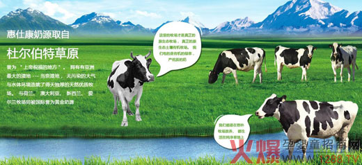 {˿̷20갲ȫƷ|(zh) duʫI(xin)