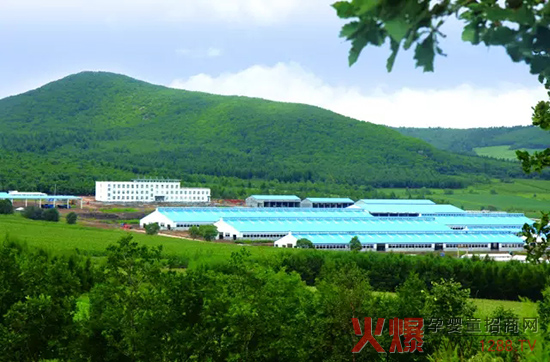 l(f)չ(sh)w(jng)(j)_(d)ɽЄ(dng)