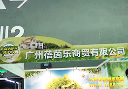 VQ(mo)޹˾2012꾩Vչ