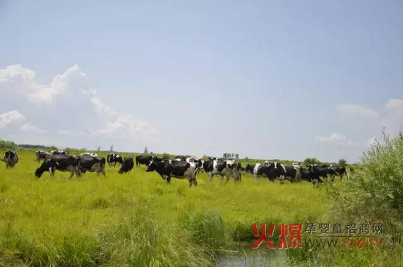 _(d)ɽ̷۞Ε(hu)ܵ@ô˵ϲ(i)