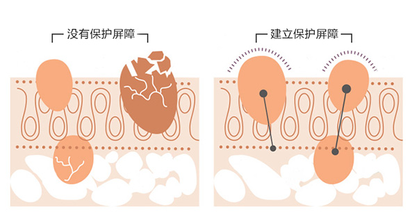 葆膚安嬰親霜為寶寶建立保護(hù)屏障.jpg 葆膚安嬰親霜為寶寶建立保護(hù)屏障.jpg
