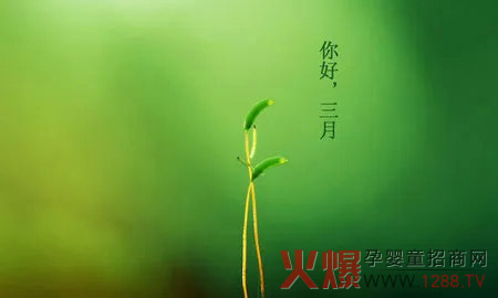  | ԪġS ϴƷʢu