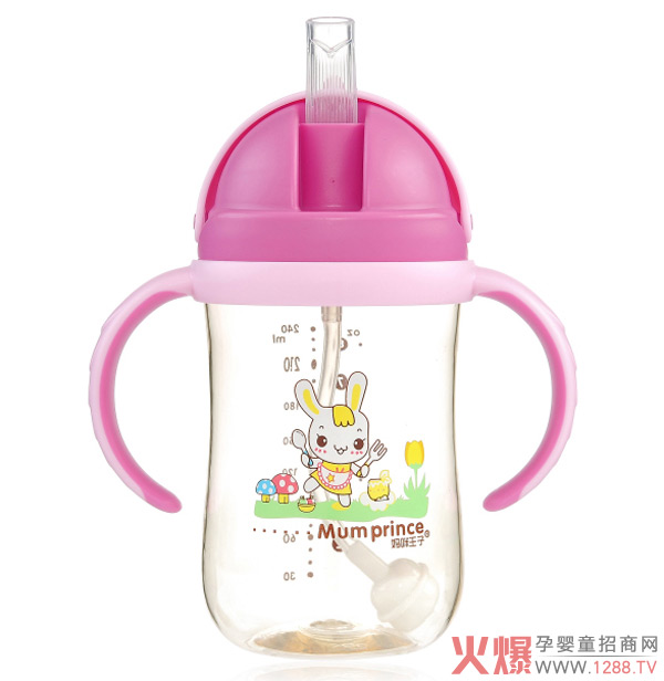 ļˮˋPPSUw©ˮ