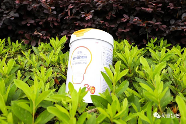 每嘉奶粉深度測評2.jpg 每嘉奶粉深度測評2.jpg