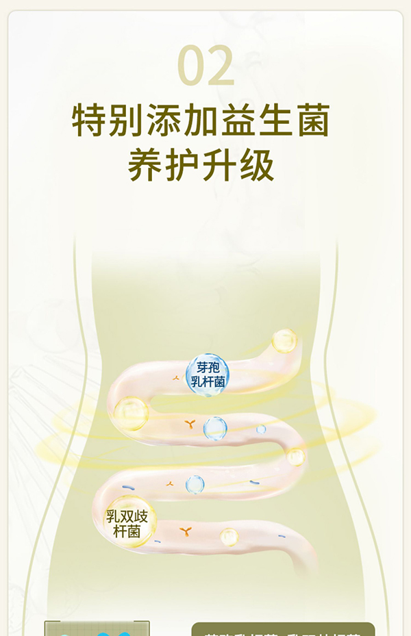 必慧龍菠蘿酵素 固體飲料詳情 (8).jpg