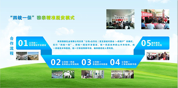 圖片7.jpg 圖片7.jpg