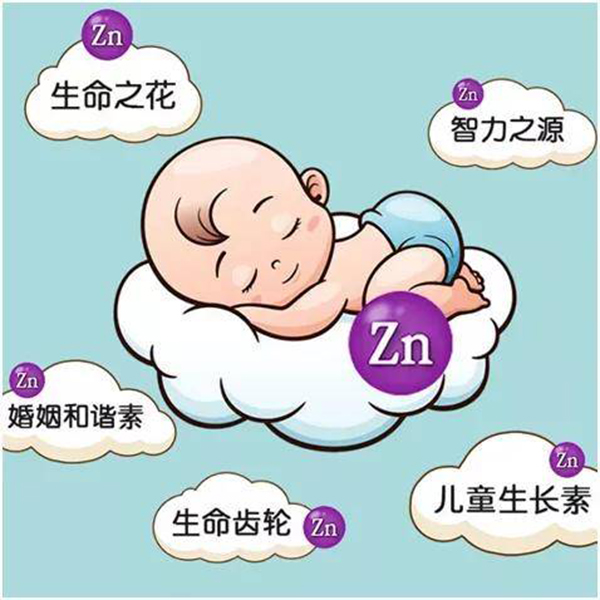 鋅的重要性.jpeg 鋅的重要性.jpeg