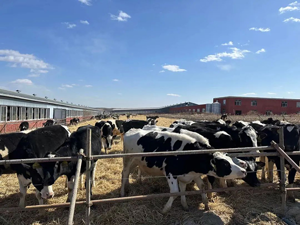 圖片4.jpg 圖片4.jpg