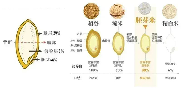 圖片1.jpg 圖片1.jpg