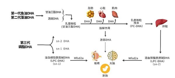 科學(xué)配比.jpg 科學(xué)配比.jpg
