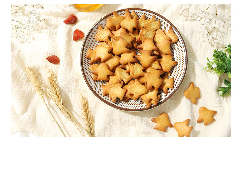 飛機造型奶鹽小餅干 (10).jpg