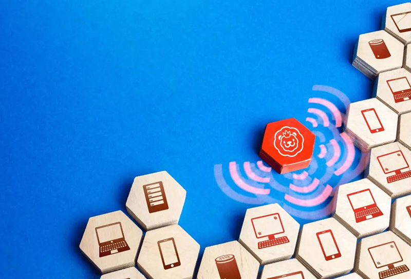 施貝安0號(hào)埤小肽6.jpg 施貝安0號(hào)埤小肽6.jpg