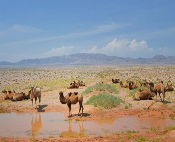 ƽzĸ댣\(chng)дģʽ´o(h)ȫҽ\(chng)ļ