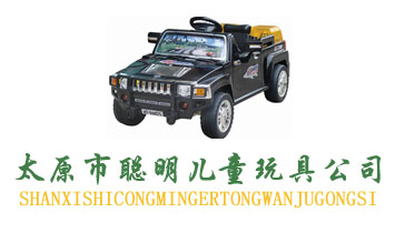 太原市聰明兒童玩具公司
