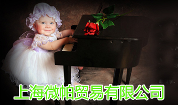 上海微帕貿(mào)易有限公司