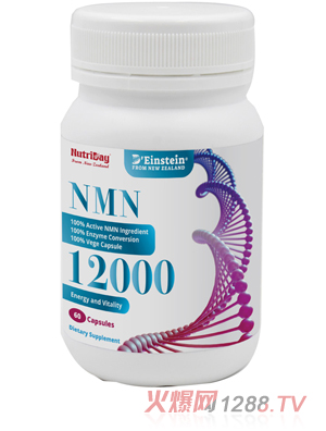 ˼̹NMN12000