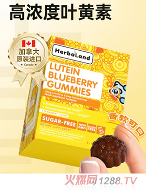 禾寶藍(lán)葉黃素護(hù)眼軟糖