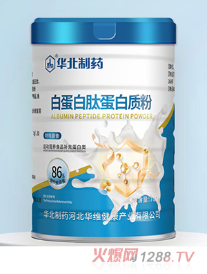 �A����ˎ�׵����ĵ����|(zh��)��